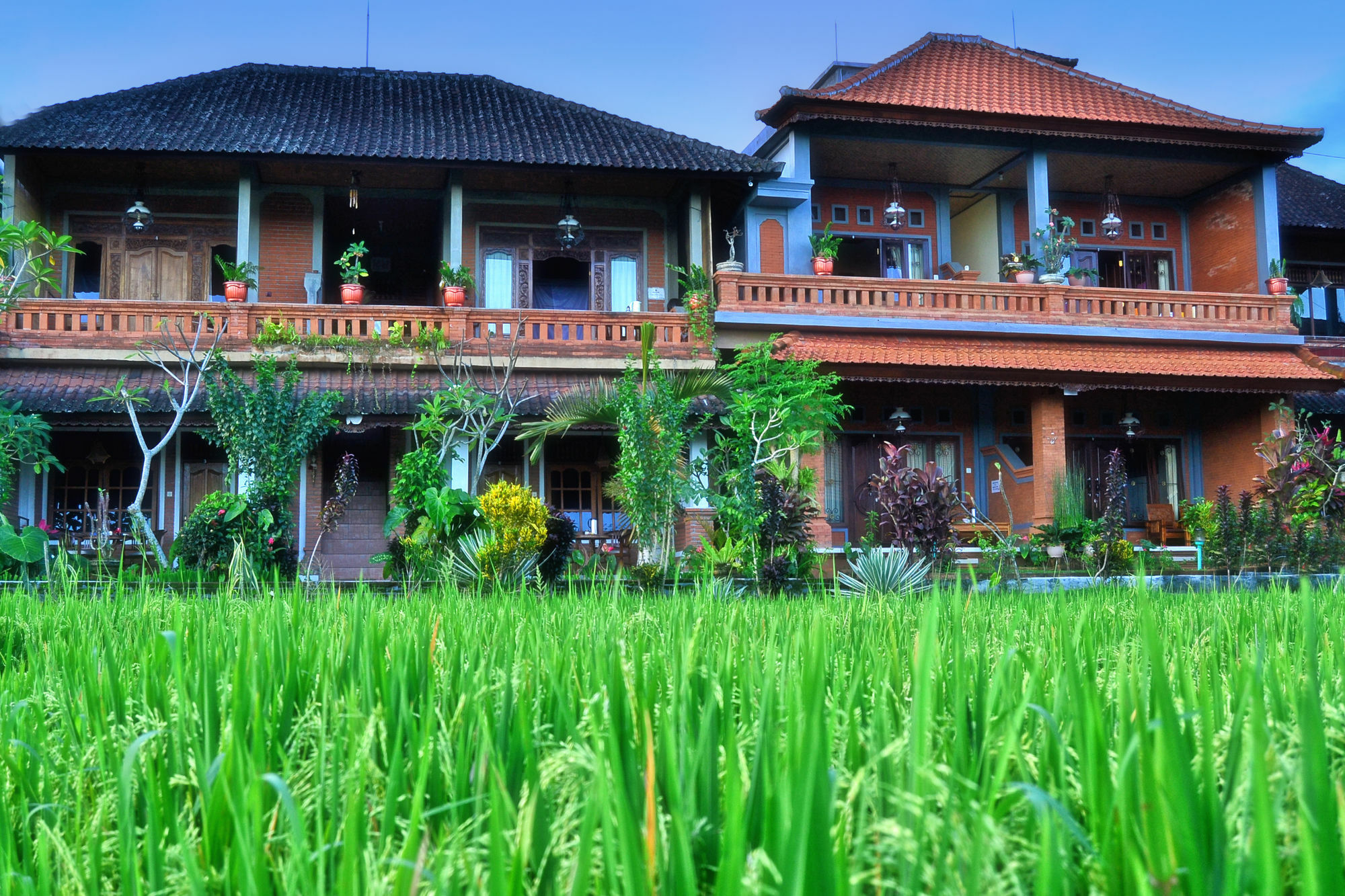 אובוד Danasari Homestay מראה חיצוני תמונה