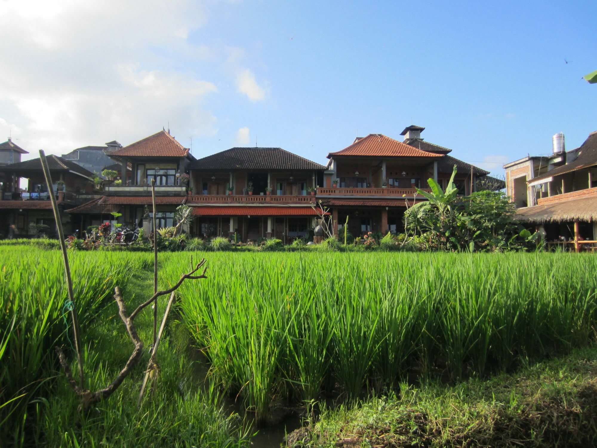 אובוד Danasari Homestay מראה חיצוני תמונה